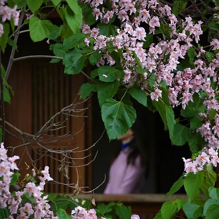 吾爱堂 Apartamento Lijiang  Exterior foto