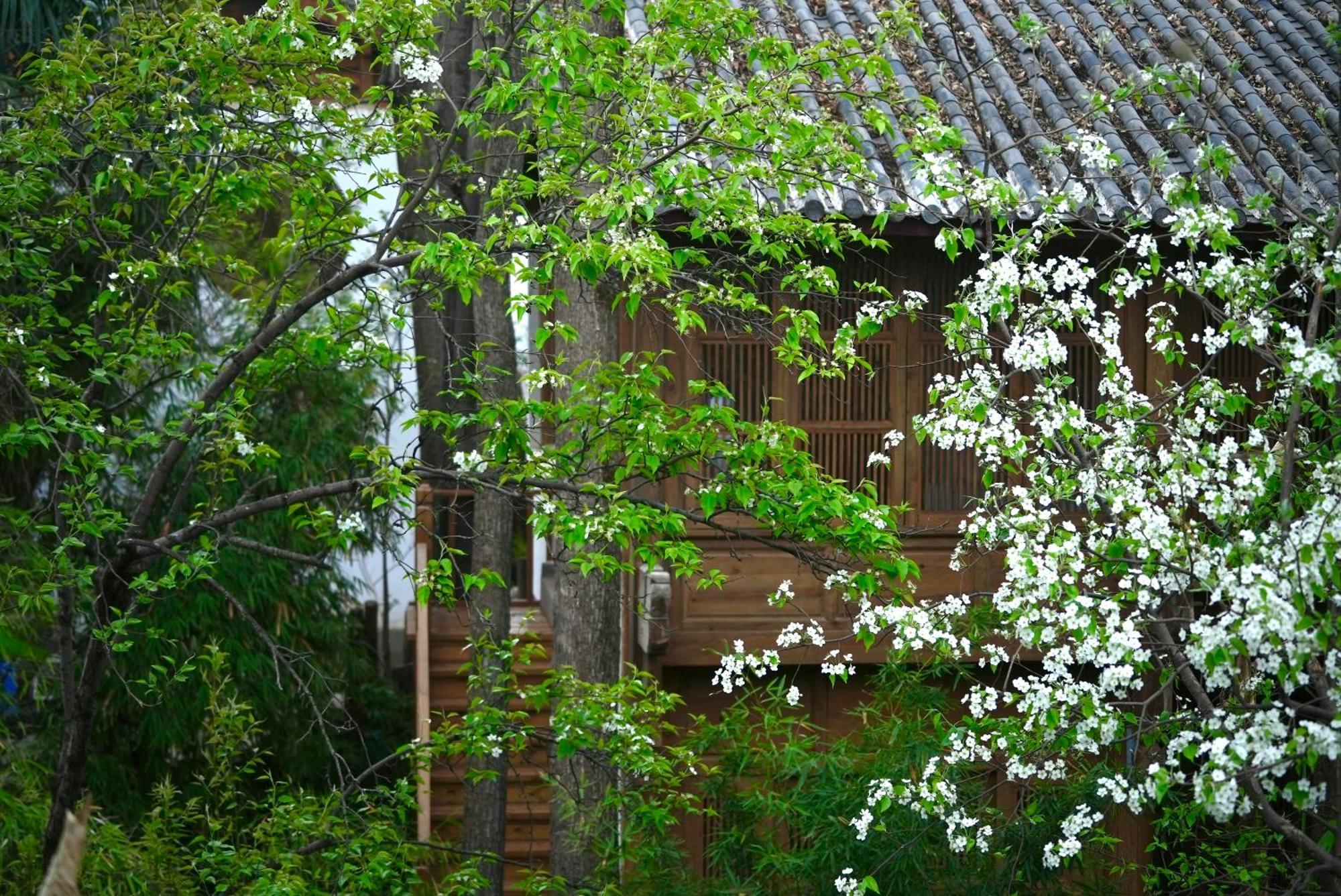 吾爱堂 Apartamento Lijiang  Exterior foto