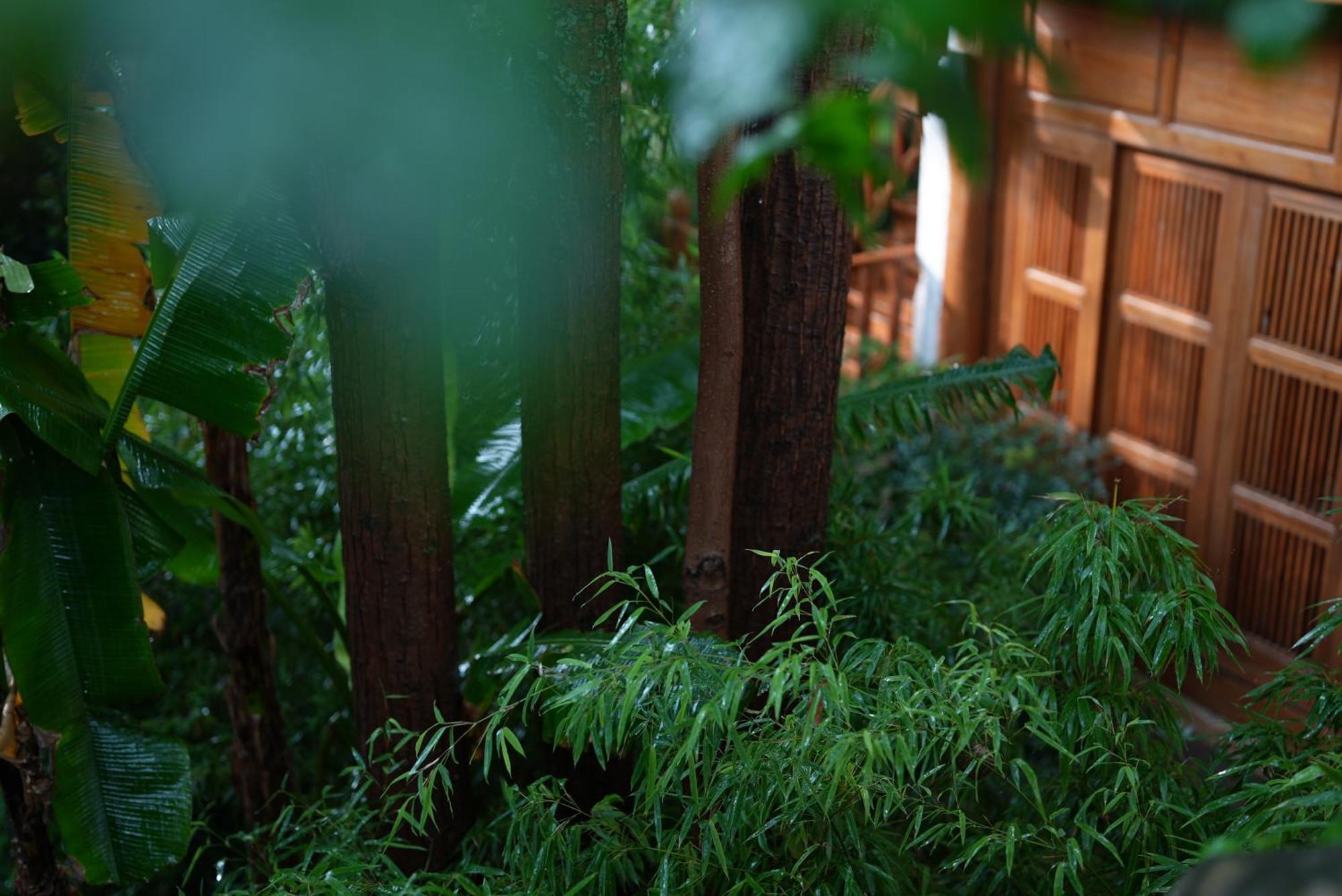 吾爱堂 Apartamento Lijiang  Exterior foto