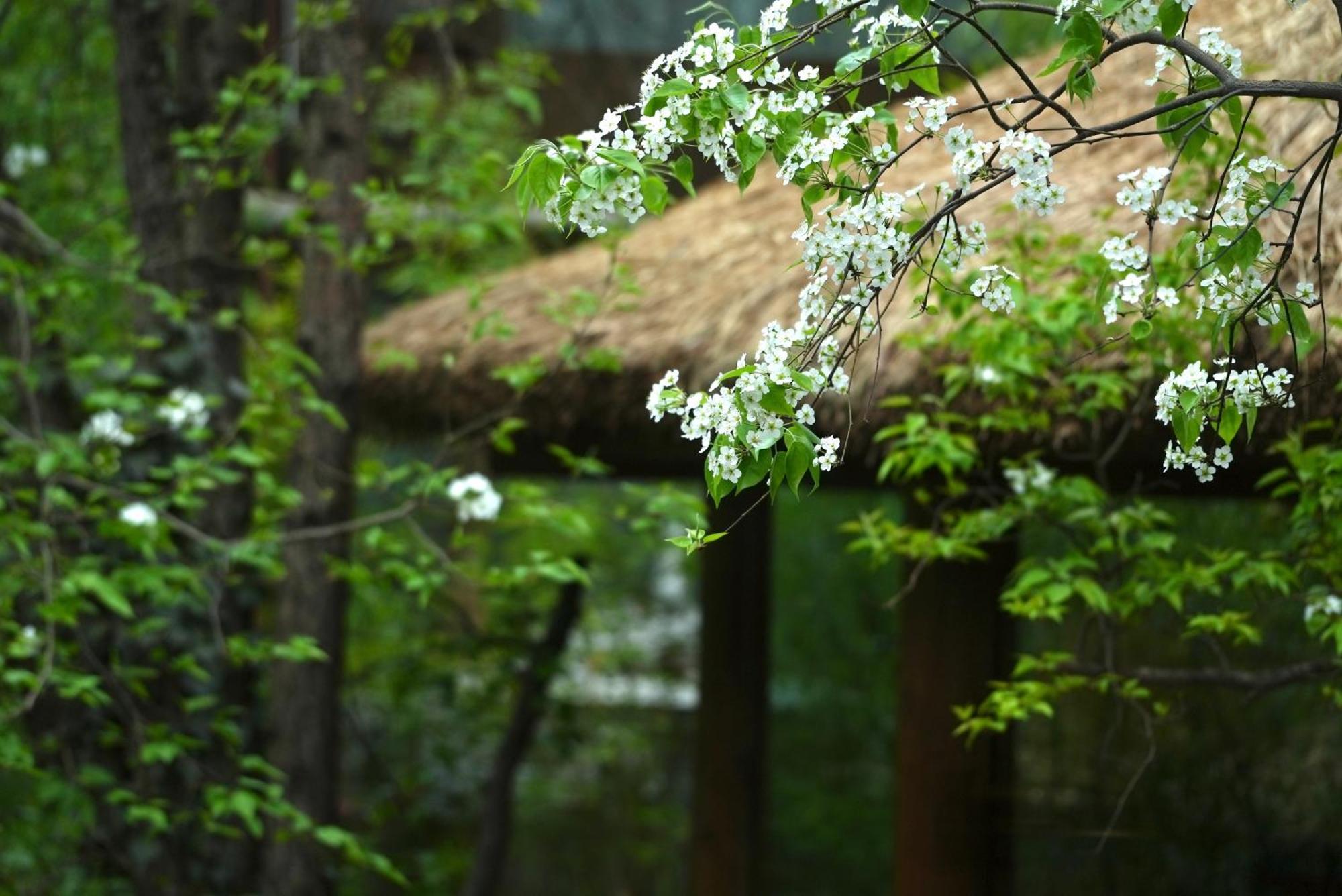 吾爱堂 Apartamento Lijiang  Exterior foto