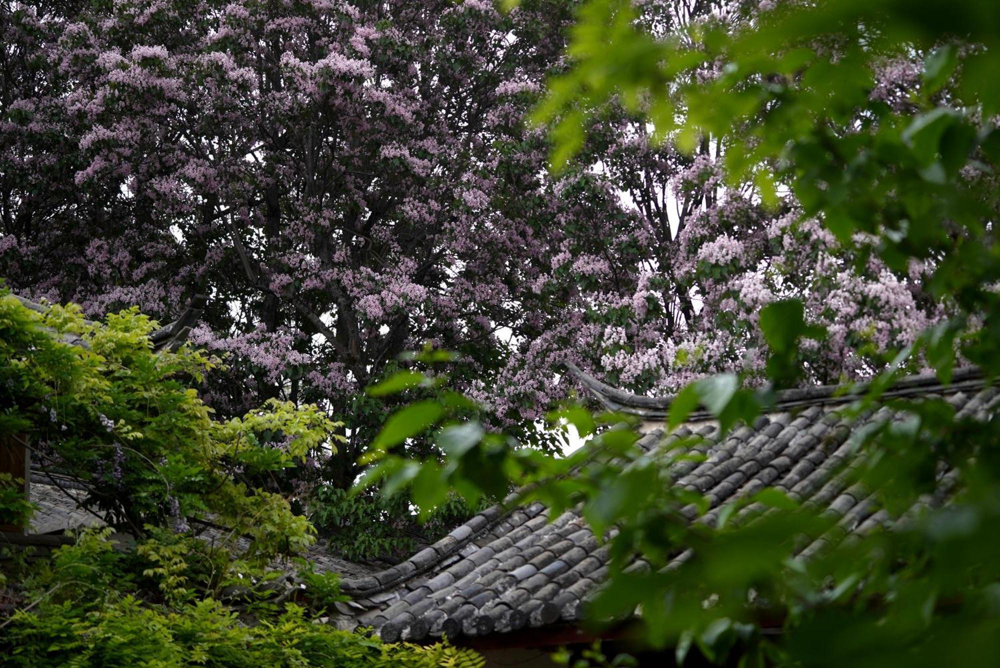 吾爱堂 Apartamento Lijiang  Exterior foto