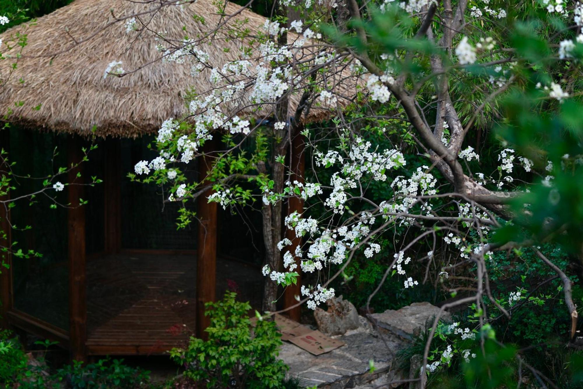 吾爱堂 Apartamento Lijiang  Exterior foto