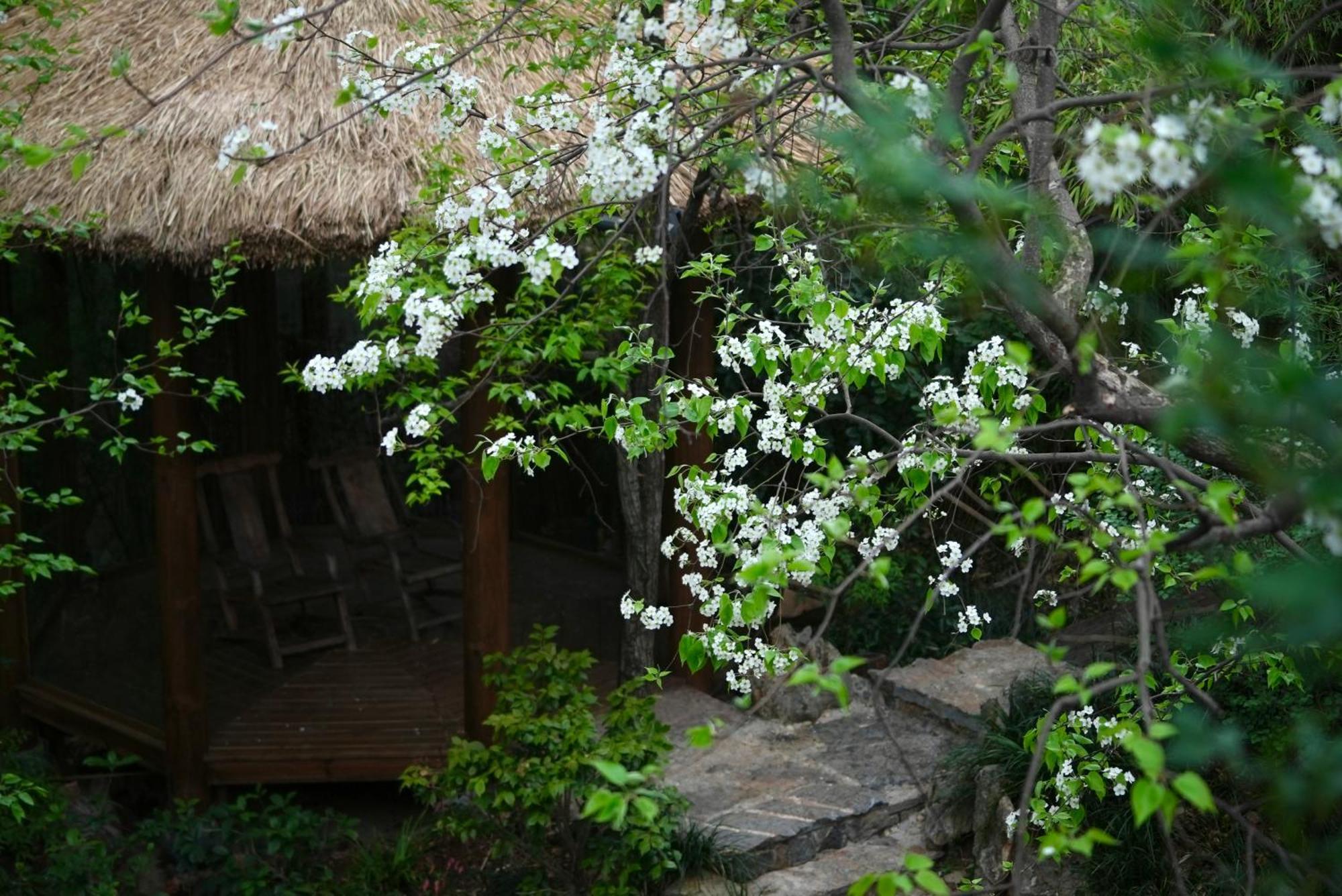 吾爱堂 Apartamento Lijiang  Exterior foto