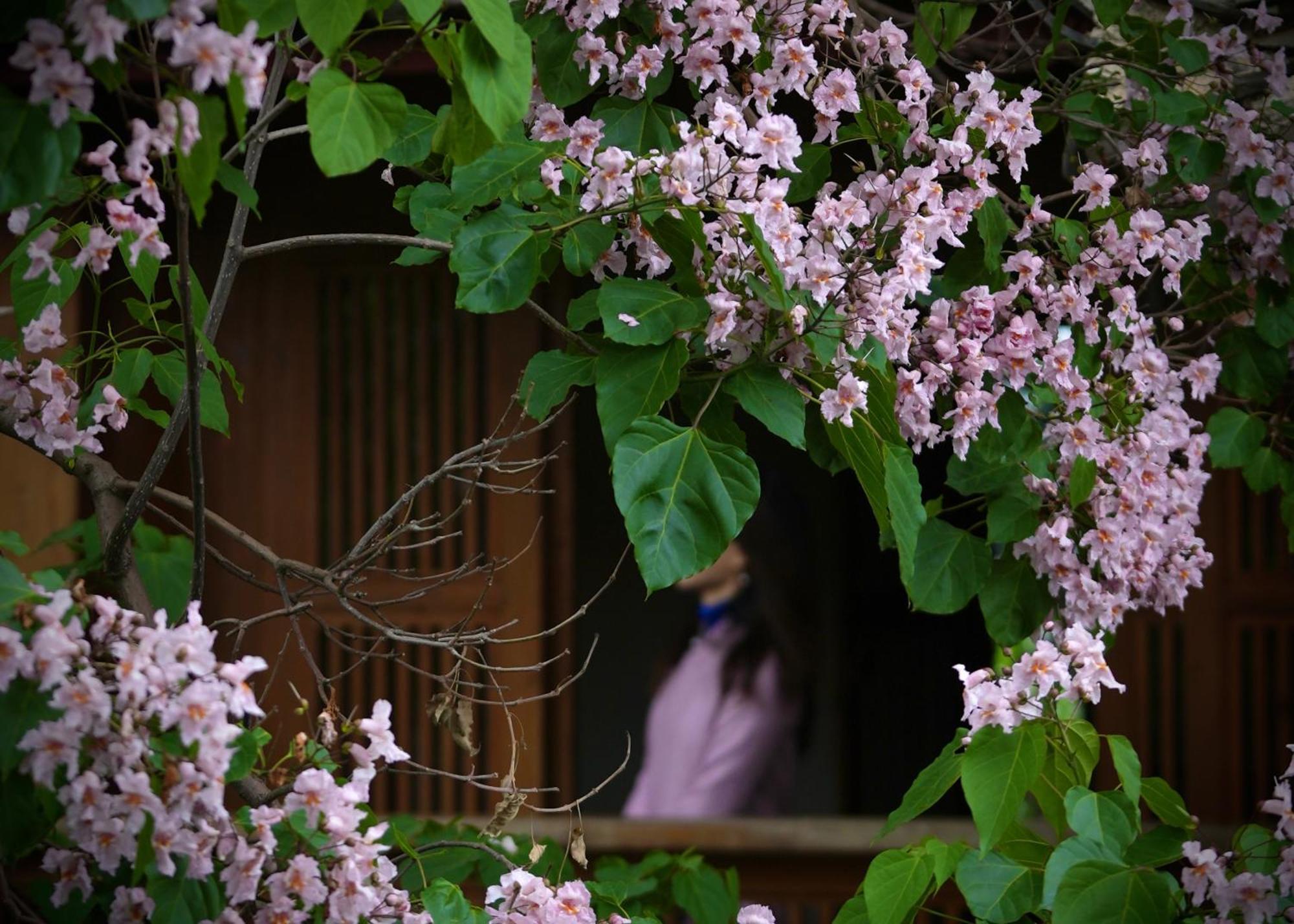 吾爱堂 Apartamento Lijiang  Exterior foto